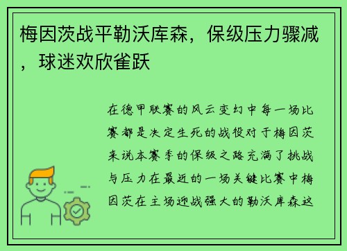 梅因茨战平勒沃库森，保级压力骤减，球迷欢欣雀跃